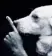 shhhh