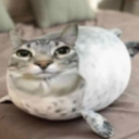 :emoji_18: