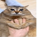 :emoji_19: