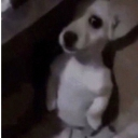 :emoji_22: