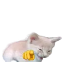 catlaugh