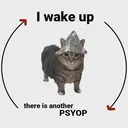 u_