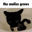 malice
