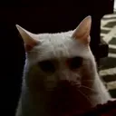 evilWheatley