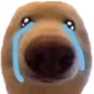 dawg_cryTears