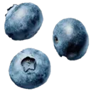 0_4Blueberries