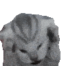 ccgg_voices Discord emoji