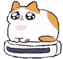 sadkittyspin
