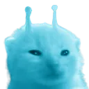 blorp