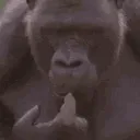 Think Think