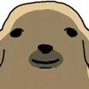 homelessdogstare