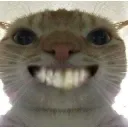 CATSMILE