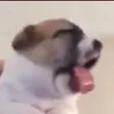 RT_Vomit Discord emoji