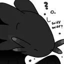 BlackLizCurious