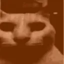 OrangeDespair