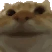 catyepyep catyepyep