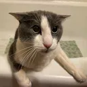 gw