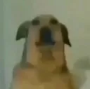 wuh