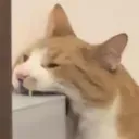 carbite