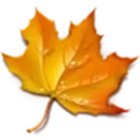 autumn_leaf