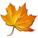 :autumn_leaf: