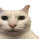 Discord Emote cat_huh: