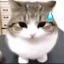 yo