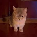 GRR
