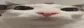 plinKstare