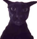 cat_evil_larry Discord emoji
