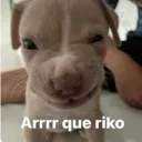 delicioso