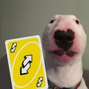 Walter_Uno_Reverse