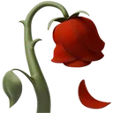 sad_rose