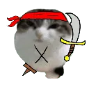 wawa_pirate