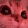 catwink