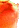 catJAMJAM