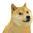 DOGE animated GIF emoji - Alchemy Builders