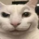 cat_sigma