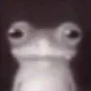 frogngau