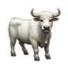 bull