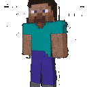minecraft_default_dance animated emote | WiseHosting