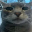 cet