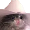 SadCat SadCat