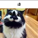 3_