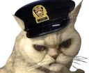 moupolice moupolice