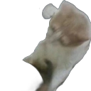 RT_Sape Discord emoji