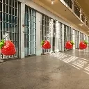 jailOfStrawberries