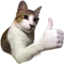 coolstorybro