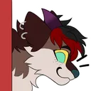 quinnpeek
