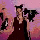 poppycrowsMadewithClipchamp1